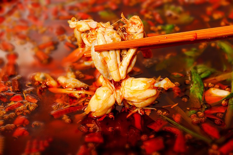 料凭什么让你的餐饮店顾客盈门？麻将胡了试玩赞巴蜀美蛙鱼头底(图4)