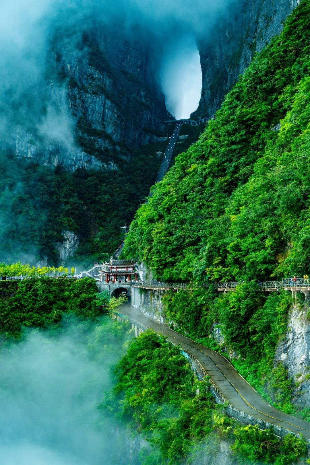 4晚省钱攻略及本地导游推荐新手避坑指南快快收藏旅游PG电子麻将胡了2寒假去张家界旅游攻略张家界5天(图2)